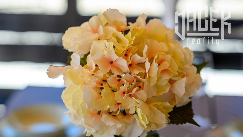 NEODOLATEĽNÝ MOBILNÝ DOM V DRAGE V CHORVÁTSKU