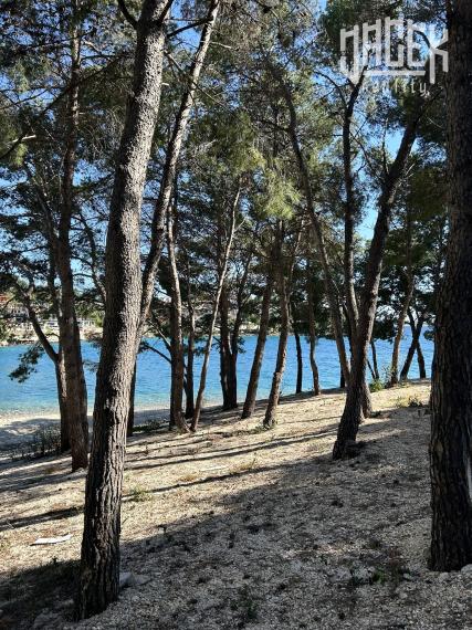 Mobilné domčeky obklopené borovicovým lesíkom v Drage - Chorvátsko