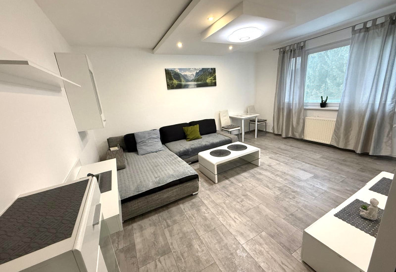 PRENÁJOM: MODERNE ZREKONŠTRUOVANÝ 2-IZBOVÝ BYT NA ROZKVETE